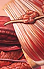 Dr. Sreenivas Murthy Dr. Sreenivas Murthy